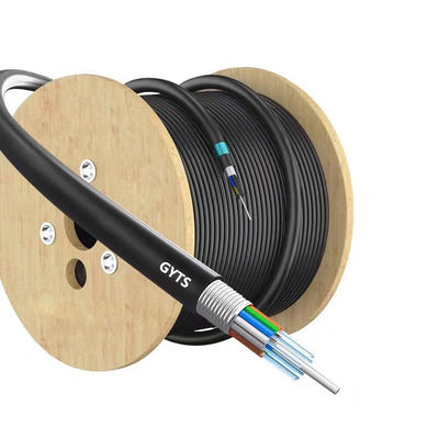 주문 Direct Buried GYTA/GYXTW/GYTS/GYFTS Armored Fiber Optic Cable with Rodent Proof Design 온라인 제품
