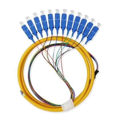 주문 12 Core Single Mode SC Fiber Pigtail Cable for Networks Communication System Flexible 온라인 제품