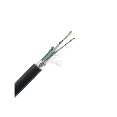 주문 LSZH 항 설치류 광 전기 복합 케이블 SM 24C G652D PE 야외 ADSS 광 케이블 온라인 제조