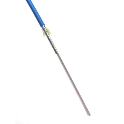 주문 1core 2core 4core 6core Indoor Outdoor Armored Fiber G652D LSZH 온라인 제품