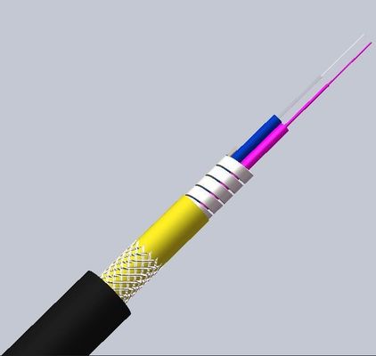 주문 LSZH Jacket 5.0mm OS2 G652D Singlemode Armored Fiber Optic Cable for Networks 온라인 제품