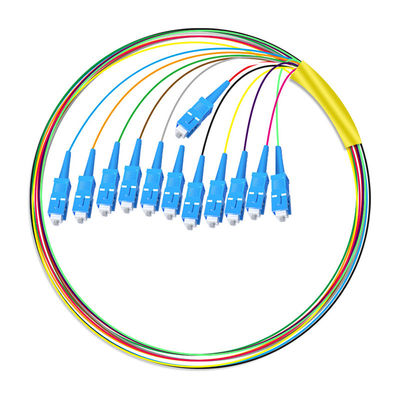 주문 HXCOWO 12 Core SC Bundle Tail Single Mode Telecom Grade Head And Tail Fiber Optic Pigtail 온라인 제품