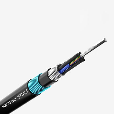 주문 HXCOWO GYTA53 48 Core G652D PE Underground Armored Fiber Optic Cable with LSOH Jacket 온라인 제품