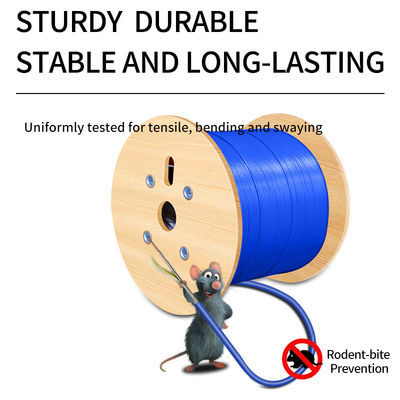 이름